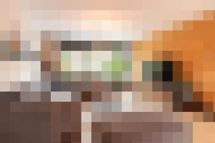 Piccolodreef 40 Harderwijk thumbnail 9