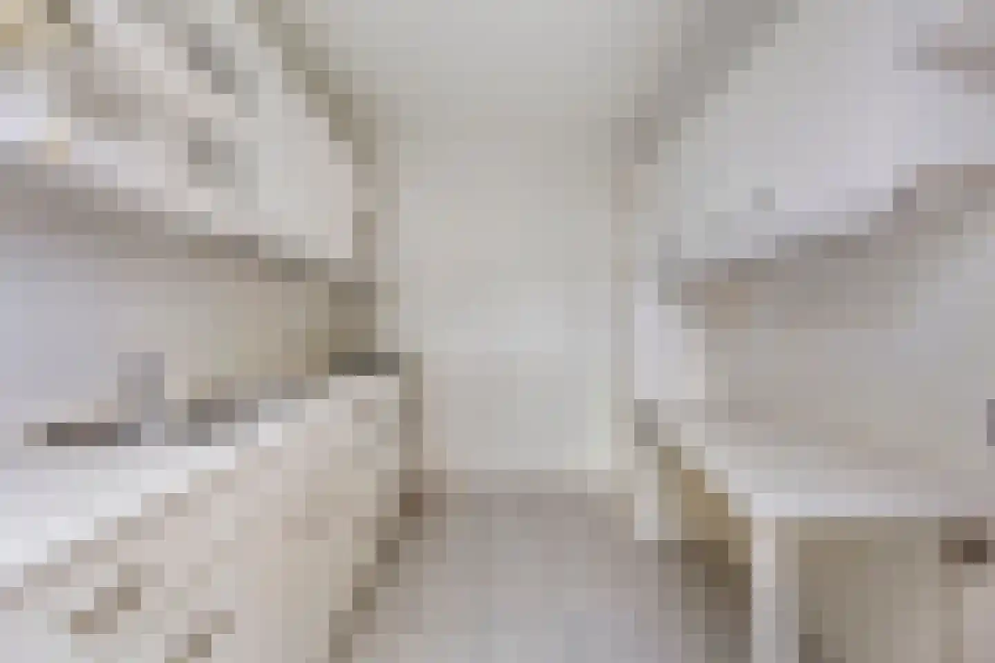 Piccolopad 4 Helmond thumbnail 12