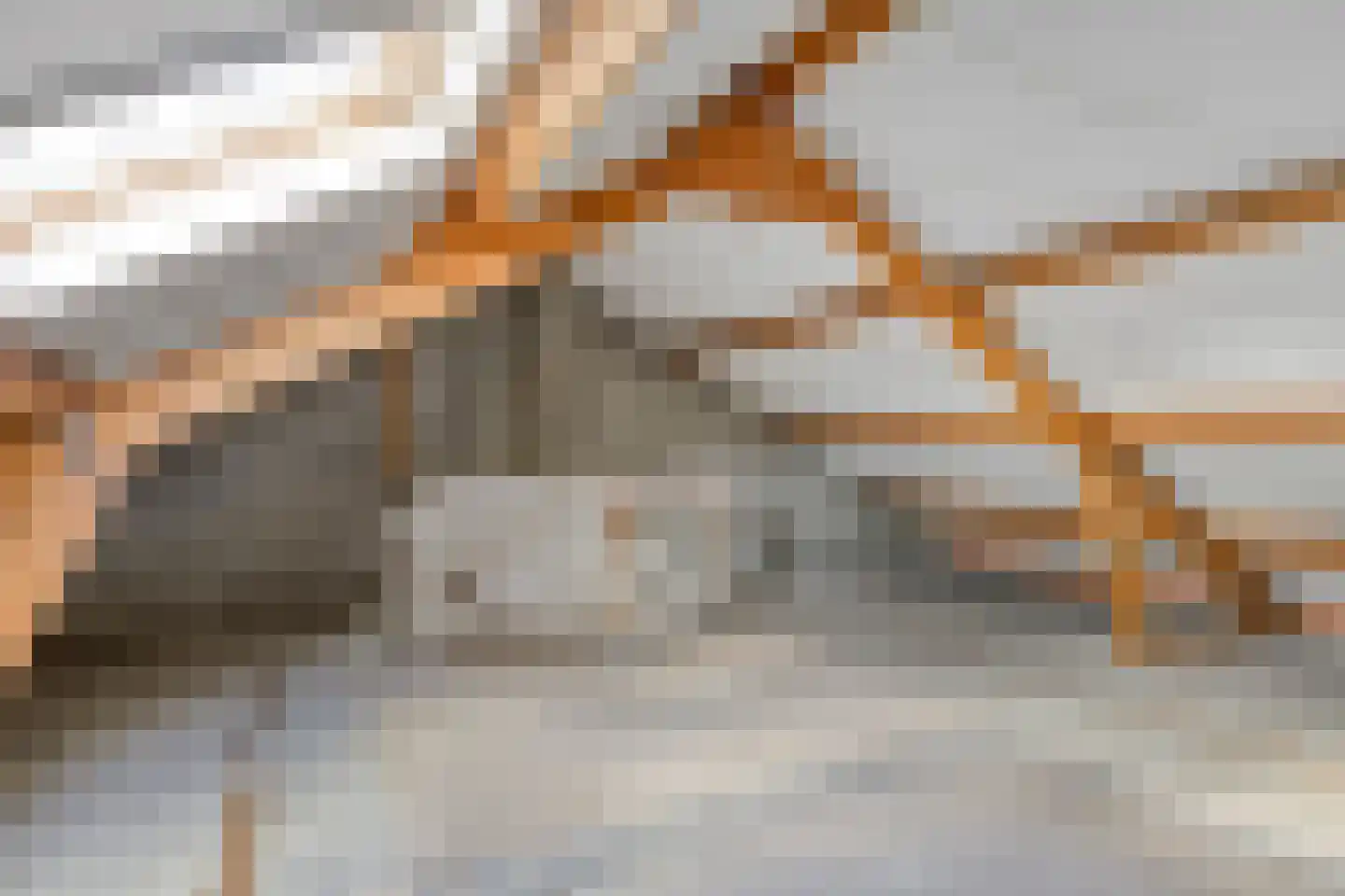 Piccolopad 4 Helmond thumbnail 26