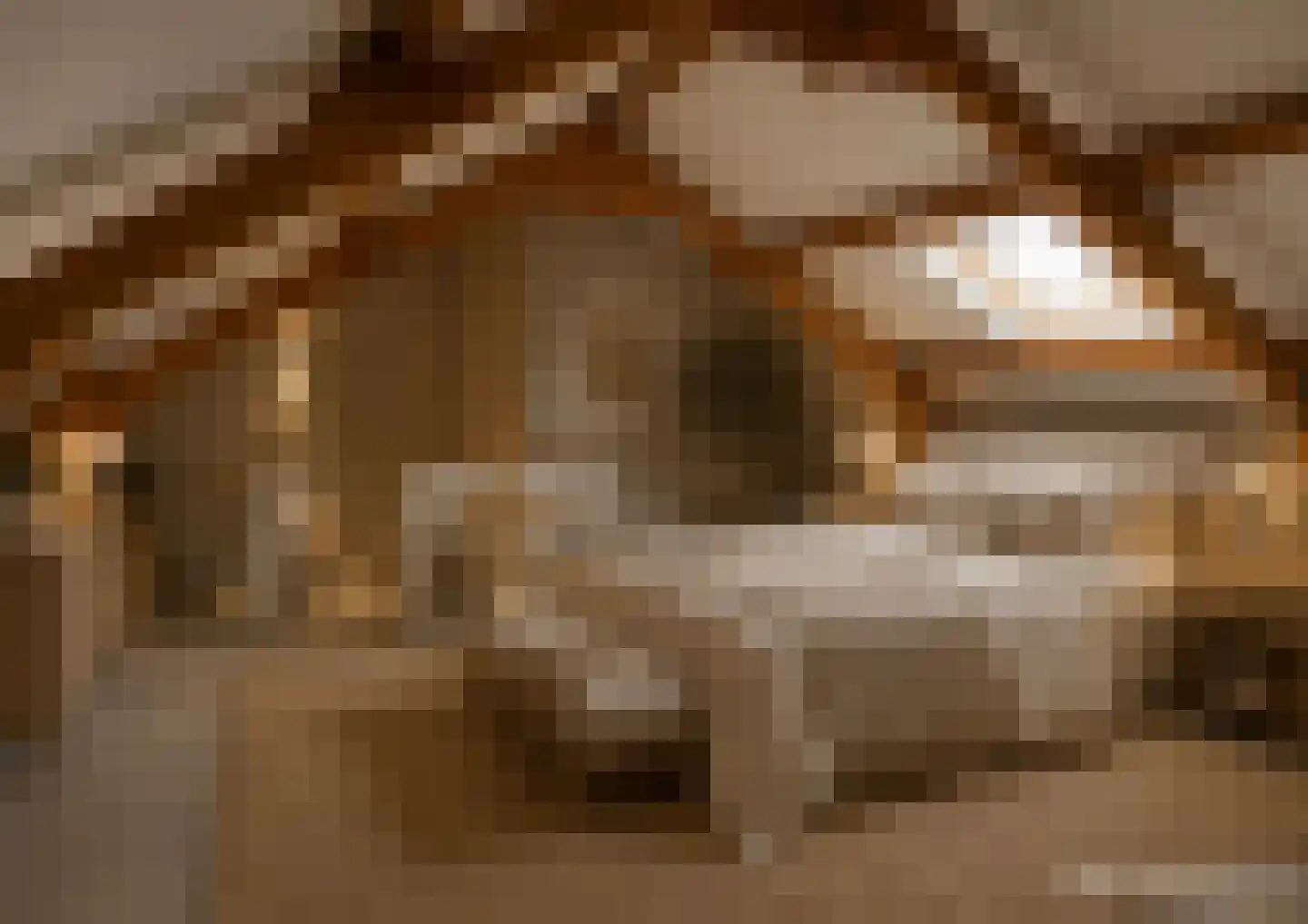 Piccolopad 4 Helmond thumbnail 30