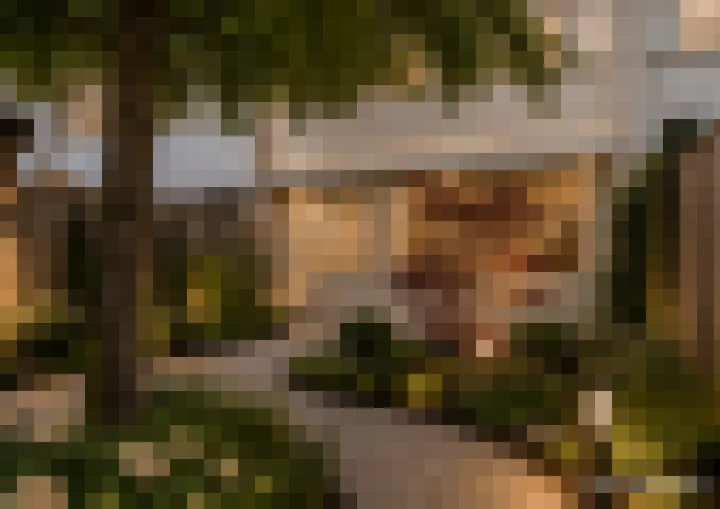Piccolopad 4 Helmond thumbnail 33