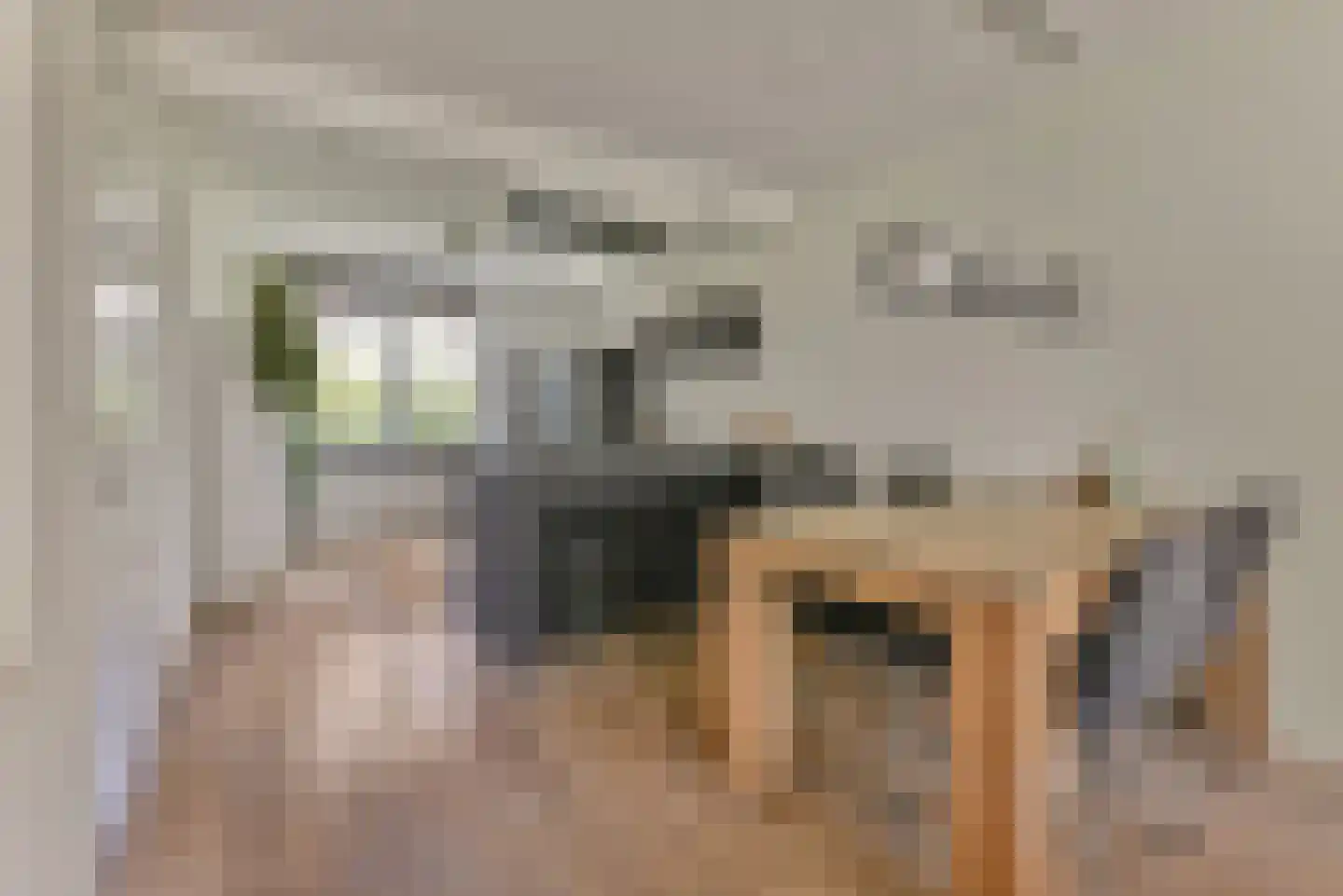 Piccolopad 5 Amersfoort thumbnail 12