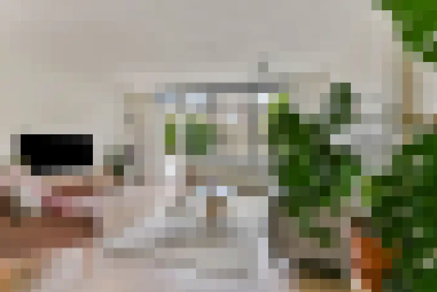 Piccolopad 5 Amersfoort thumbnail 13