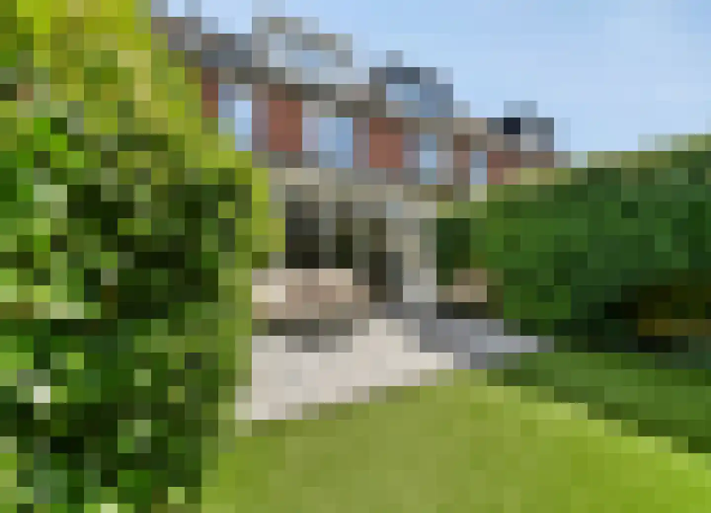 Piccolopad 5 Amersfoort thumbnail 38