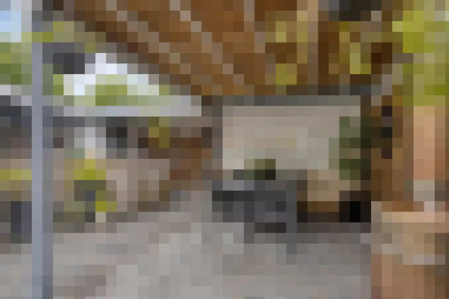 Piccolopad 5 Spijkenisse thumbnail 15
