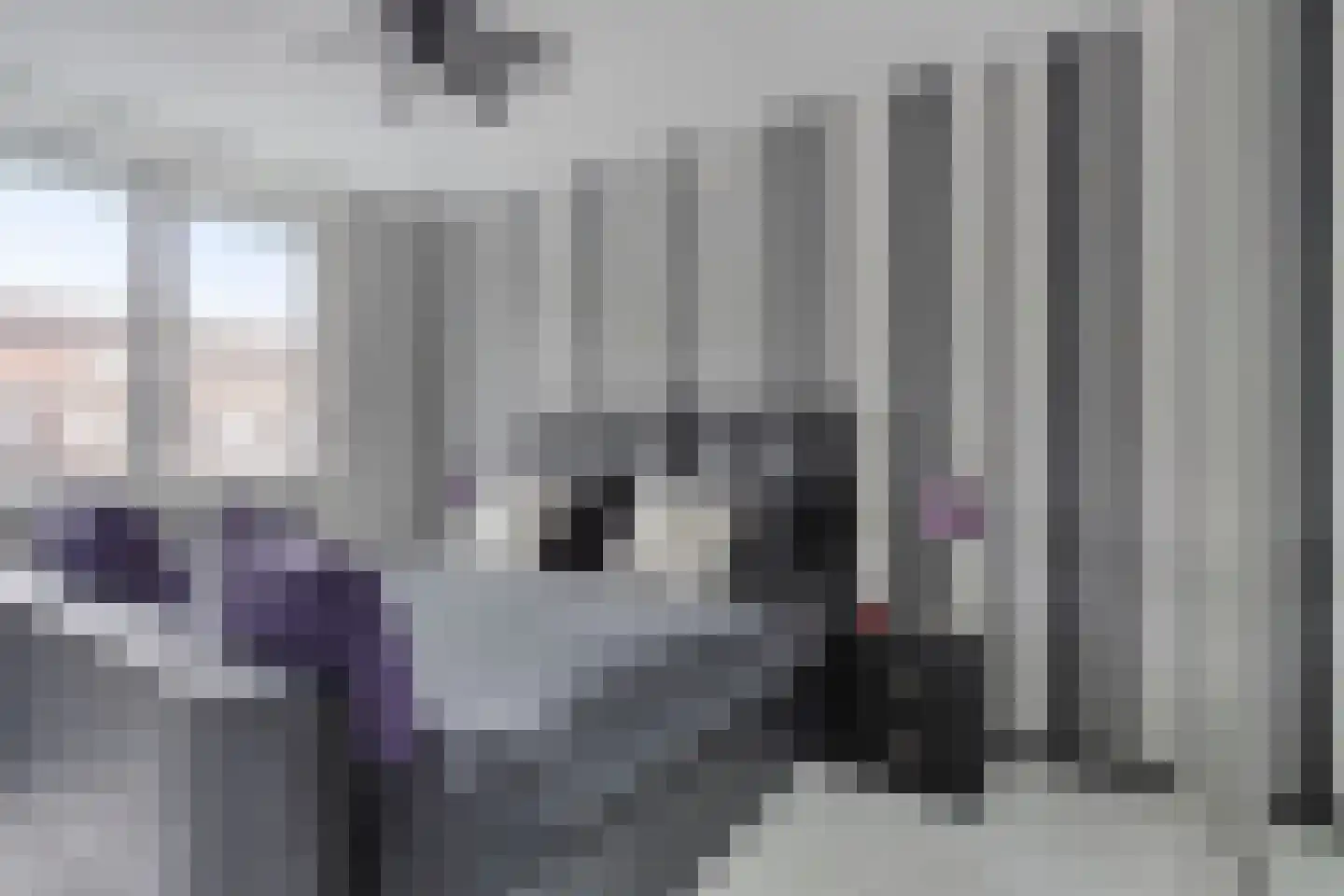 Piccolopad 5 Spijkenisse thumbnail 17