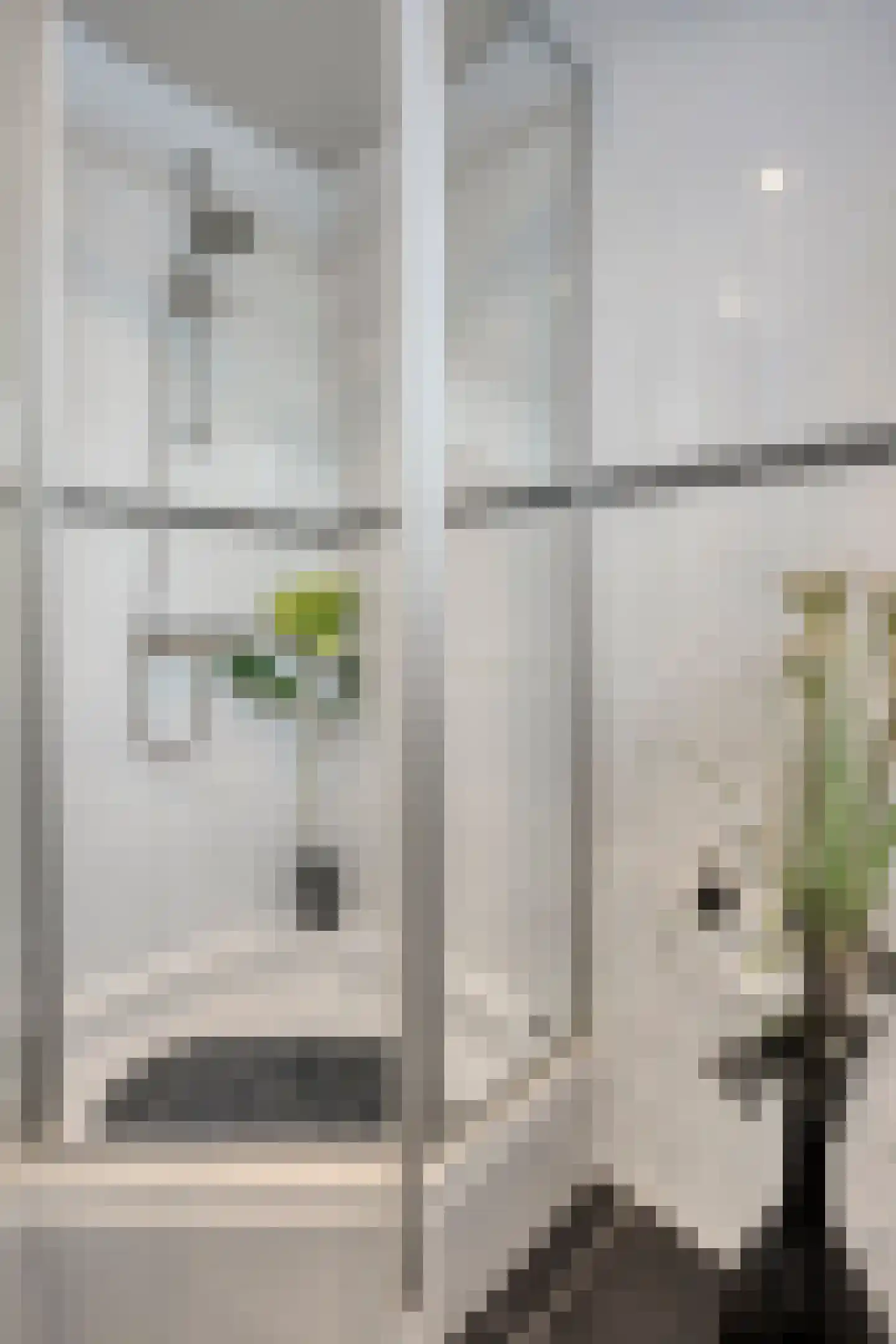 Piccolopad 5 Spijkenisse thumbnail 21