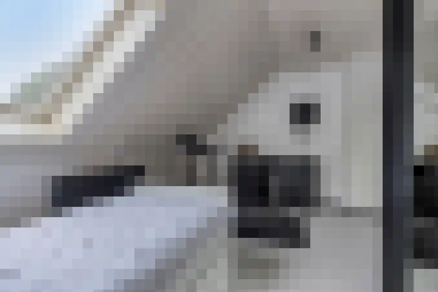 Piccolopad 5 Spijkenisse thumbnail 23