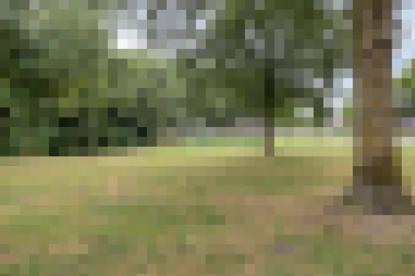 Piccolopad 5 Spijkenisse thumbnail 29