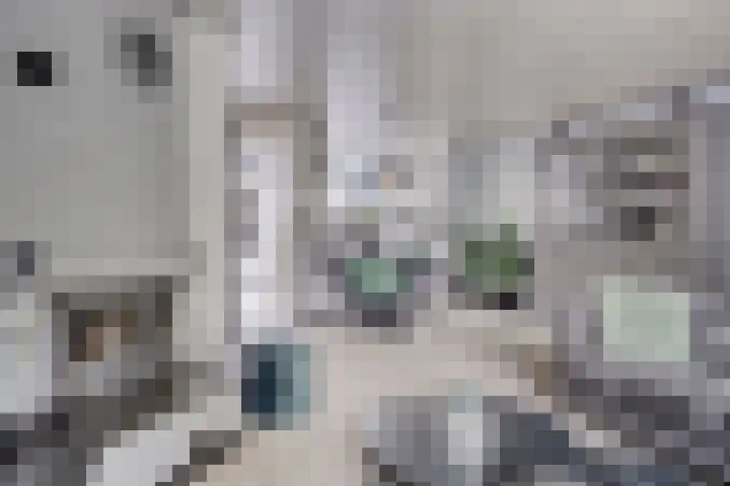 Piccolopad 5 Spijkenisse thumbnail 8