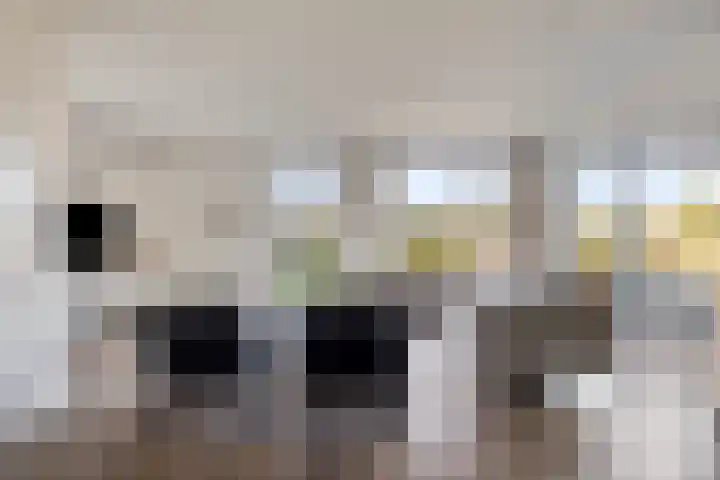 Piccolostraat 1 Goes thumbnail 7