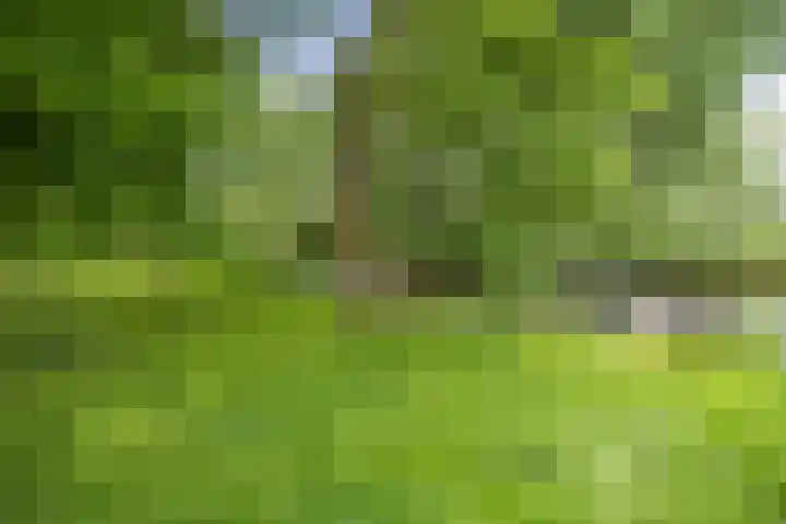 Piccolostraat 45 Almere thumbnail 38