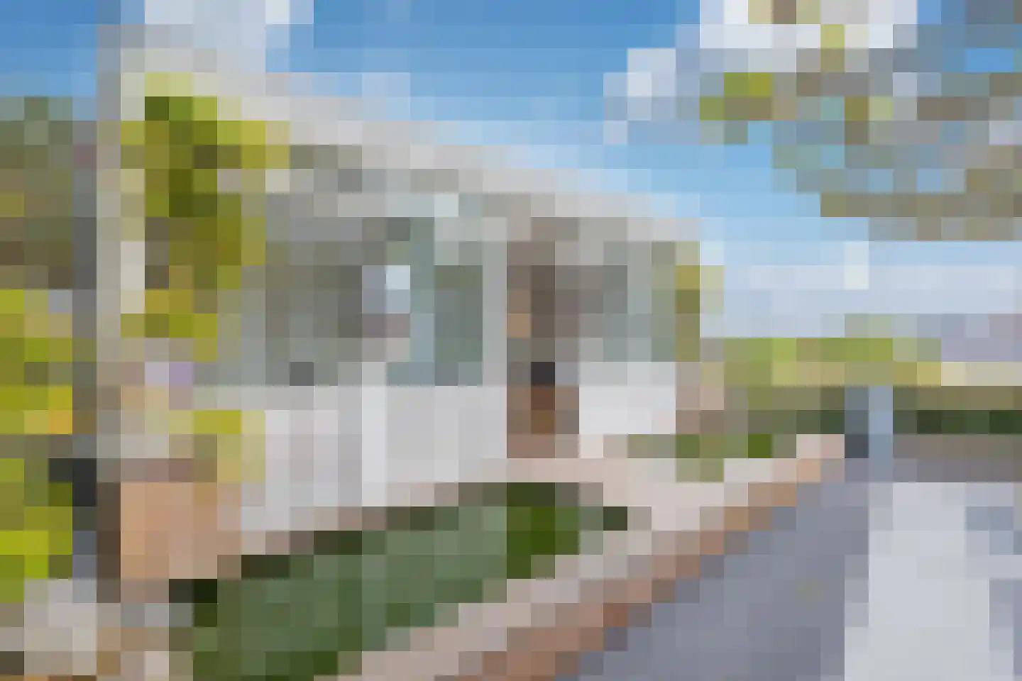 Picképlein 6 Noordwijk thumbnail 20