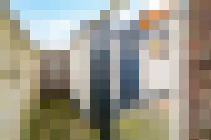 Pickéstraat 23 Noordwijk thumbnail 37