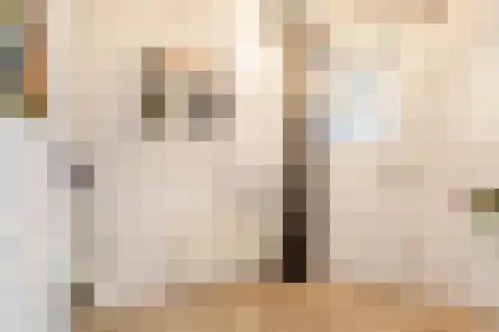Pickéstraat 23 Noordwijk thumbnail 6