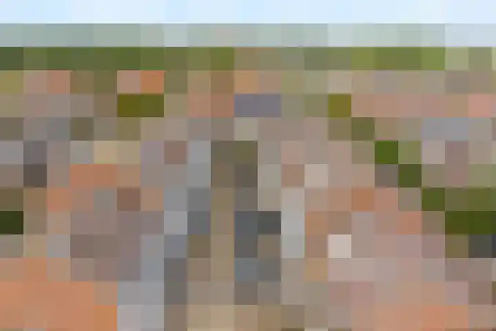 Pickéstraat 39 Noordwijk thumbnail 4