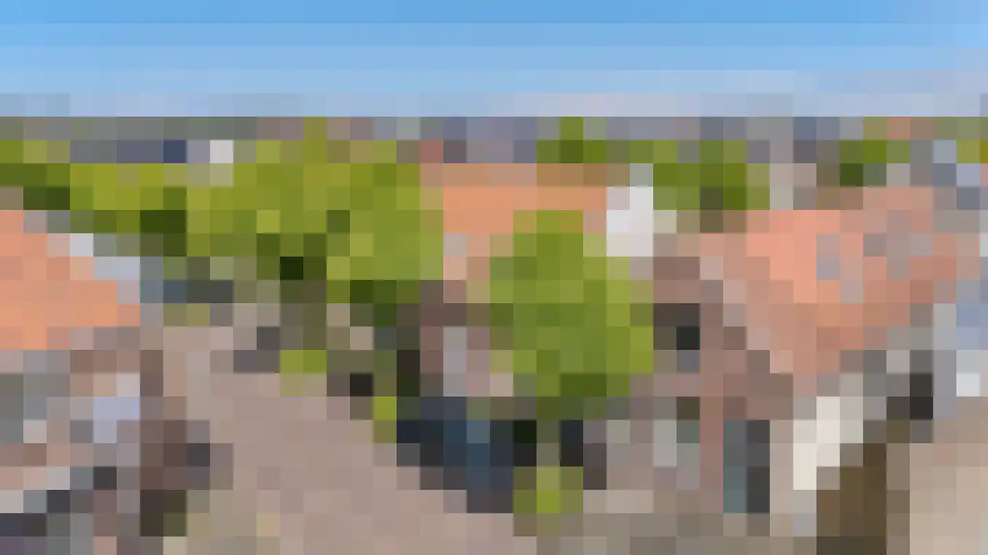 Pickéstraat 50 Noordwijk thumbnail 35