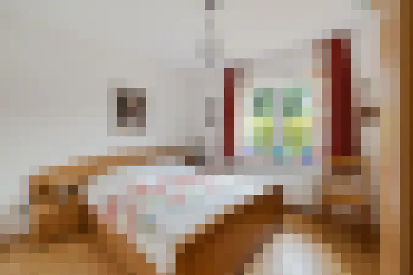 Pictoriusstrasse 15 Haren thumbnail 19