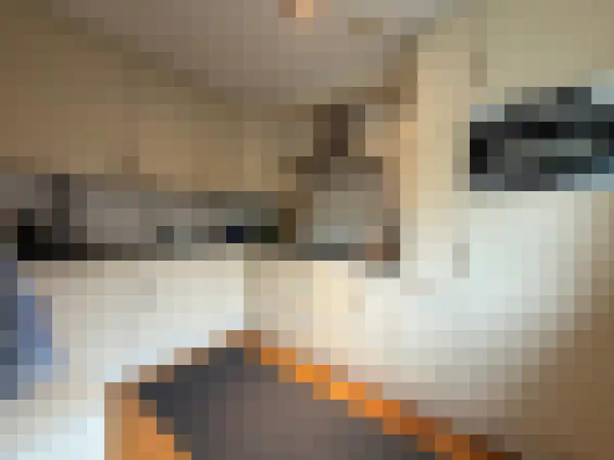 Picushof 136 Eindhoven thumbnail 5