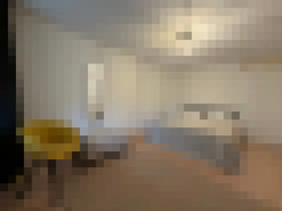 Picushof 136 Eindhoven thumbnail 6