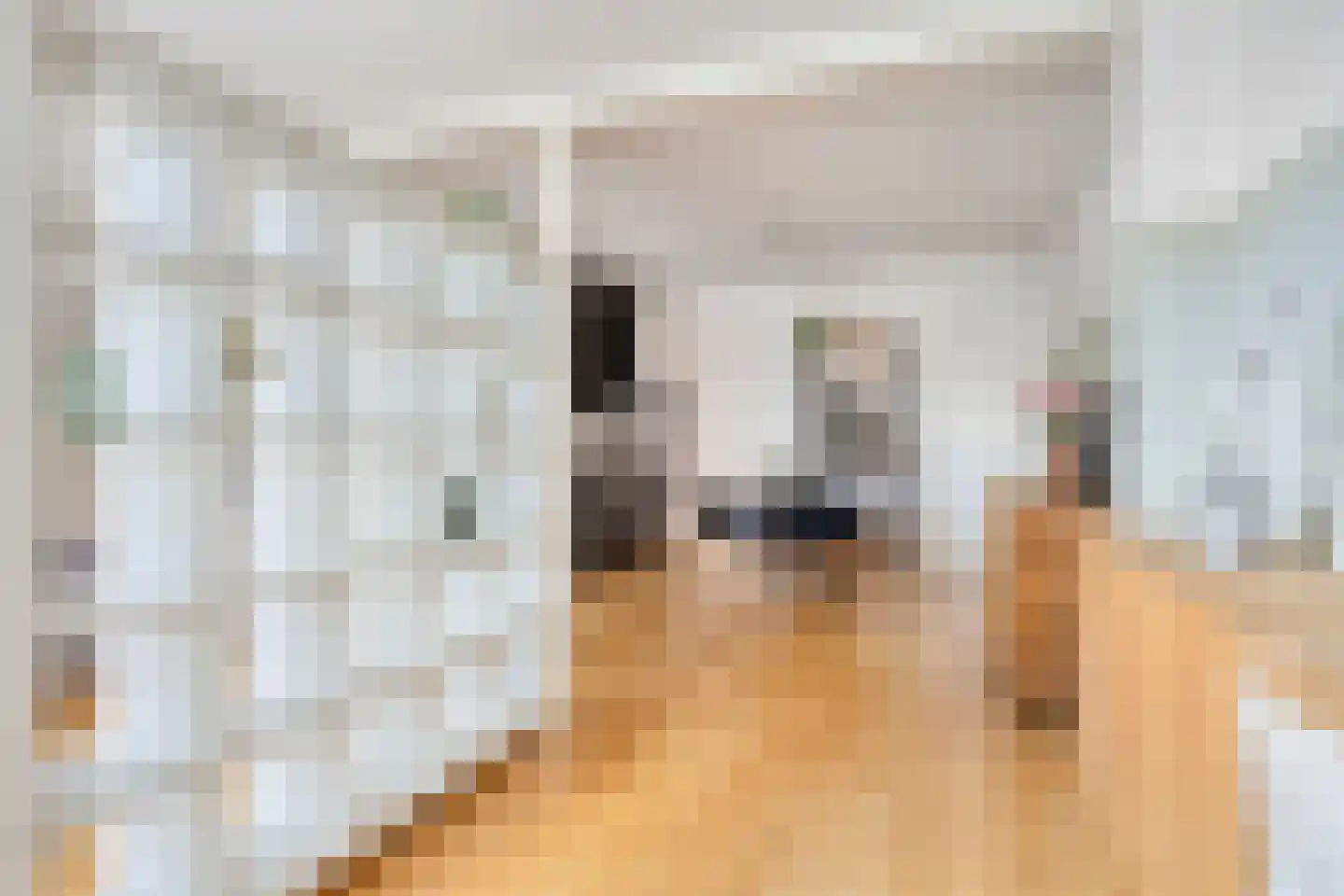 Picushof 234 A Eindhoven thumbnail 11