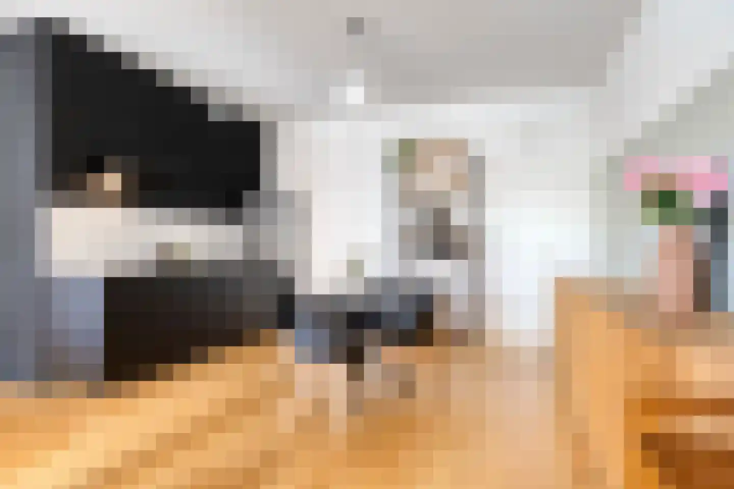 Picushof 234 A Eindhoven thumbnail 12