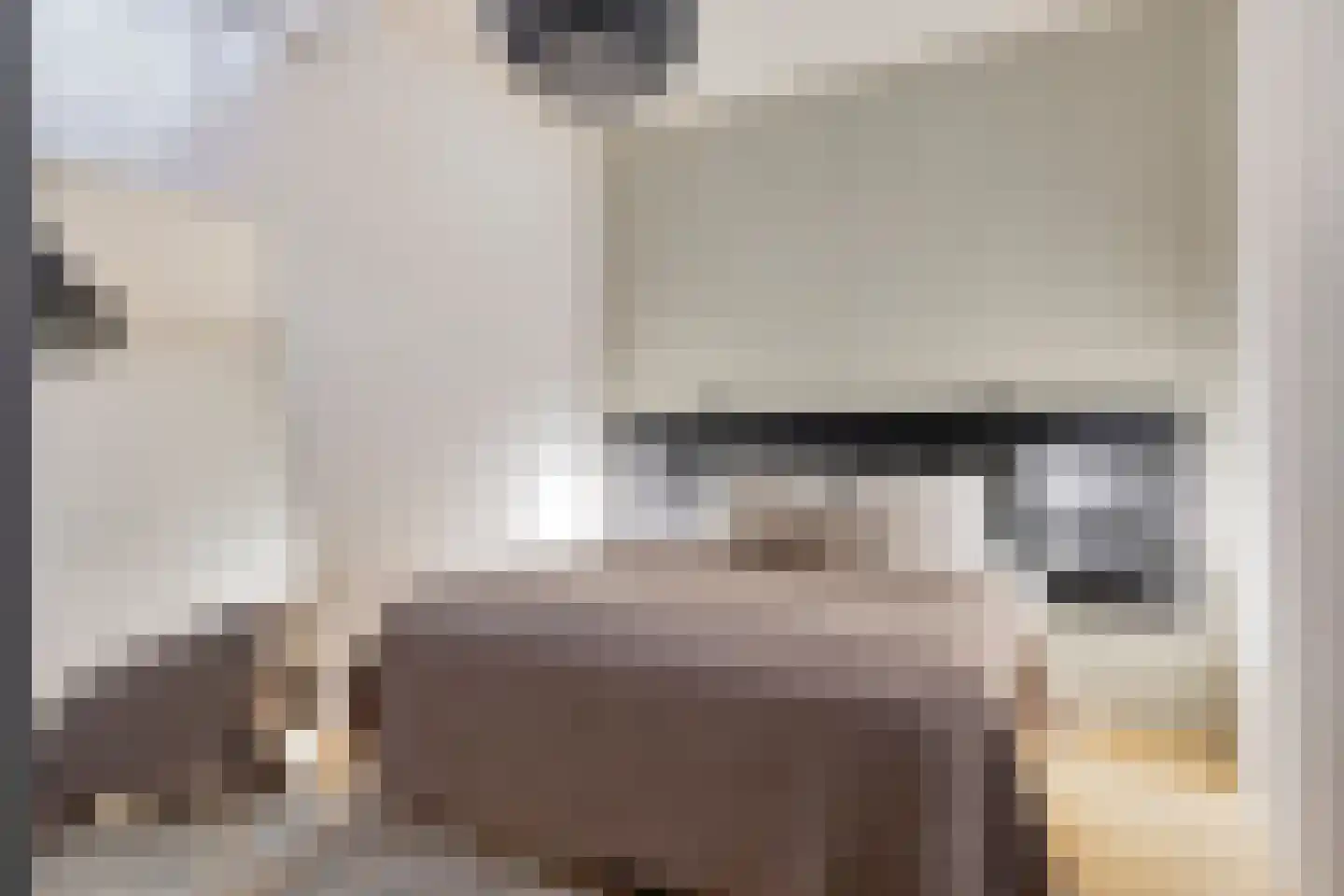 Picushof 234 A Eindhoven thumbnail 15