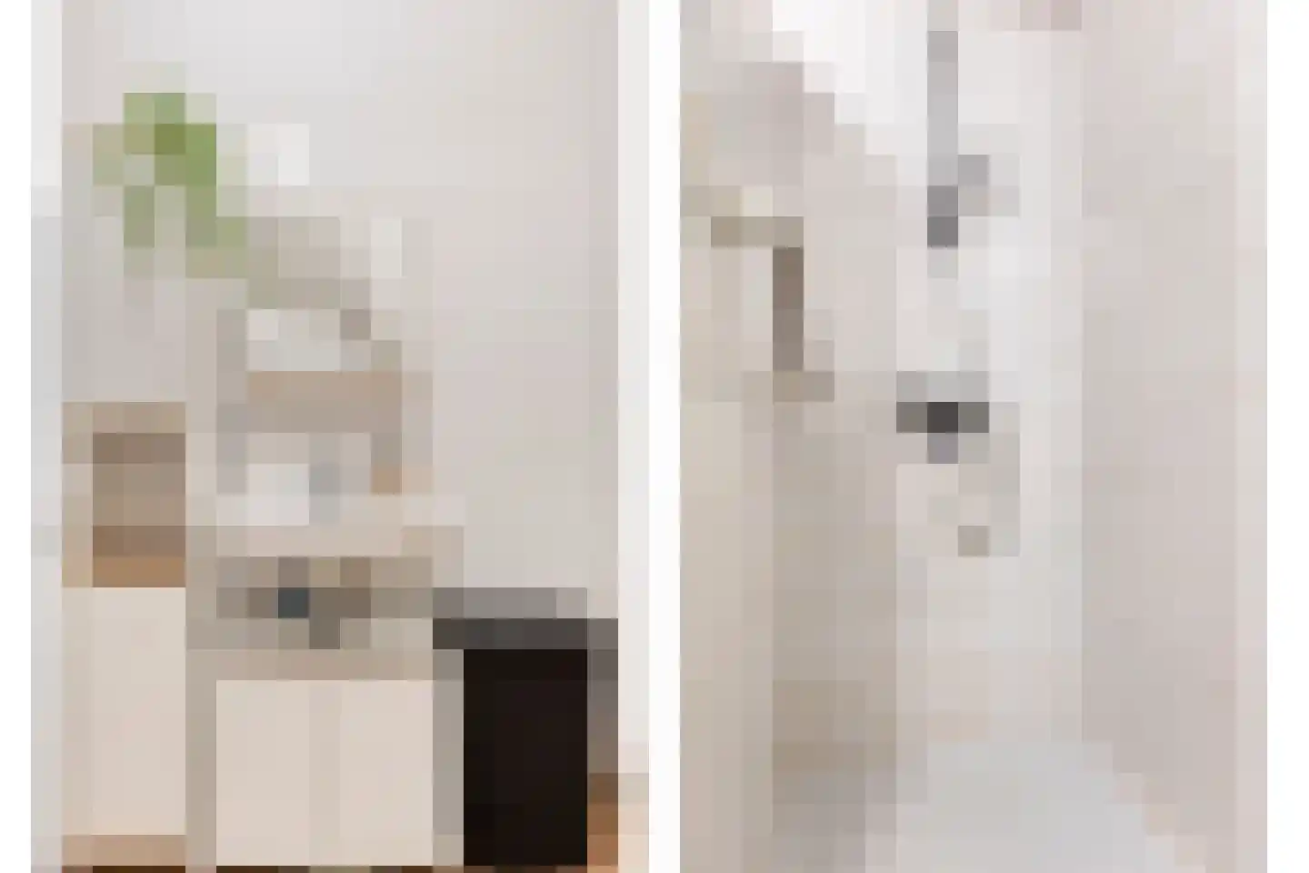 Picushof 234 A Eindhoven thumbnail 17