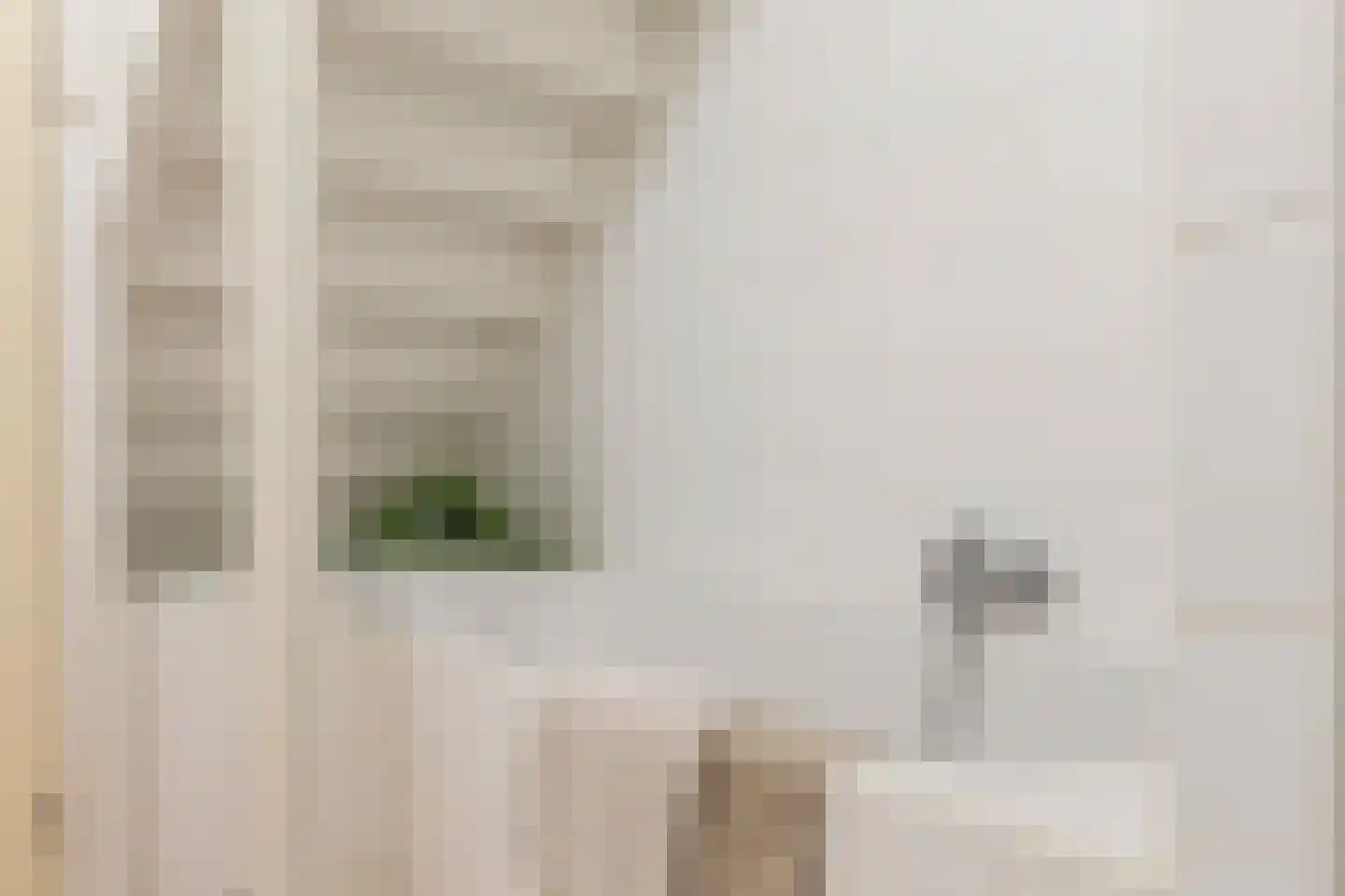 Picushof 234 A Eindhoven thumbnail 18