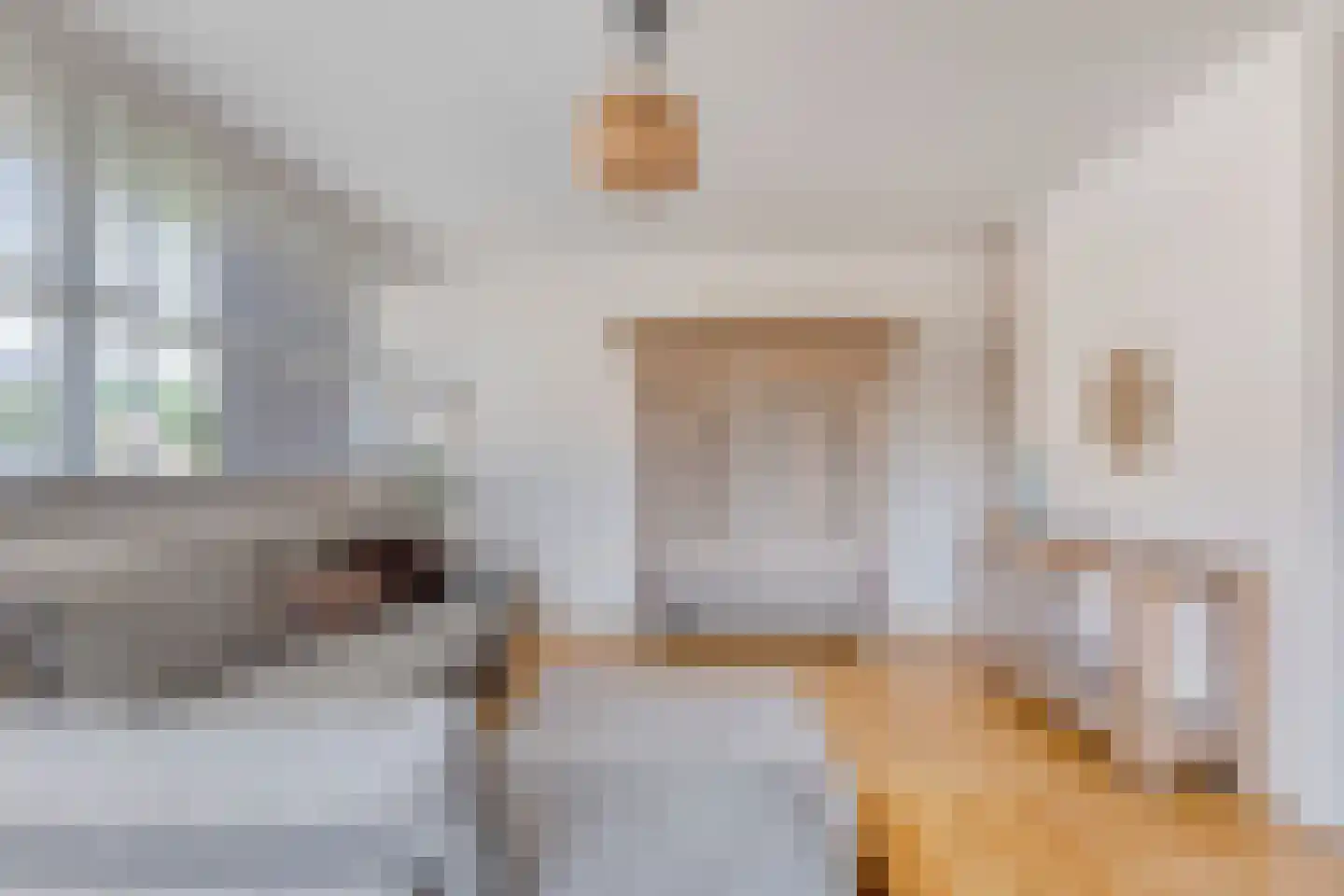 Picushof 234 A Eindhoven thumbnail 20