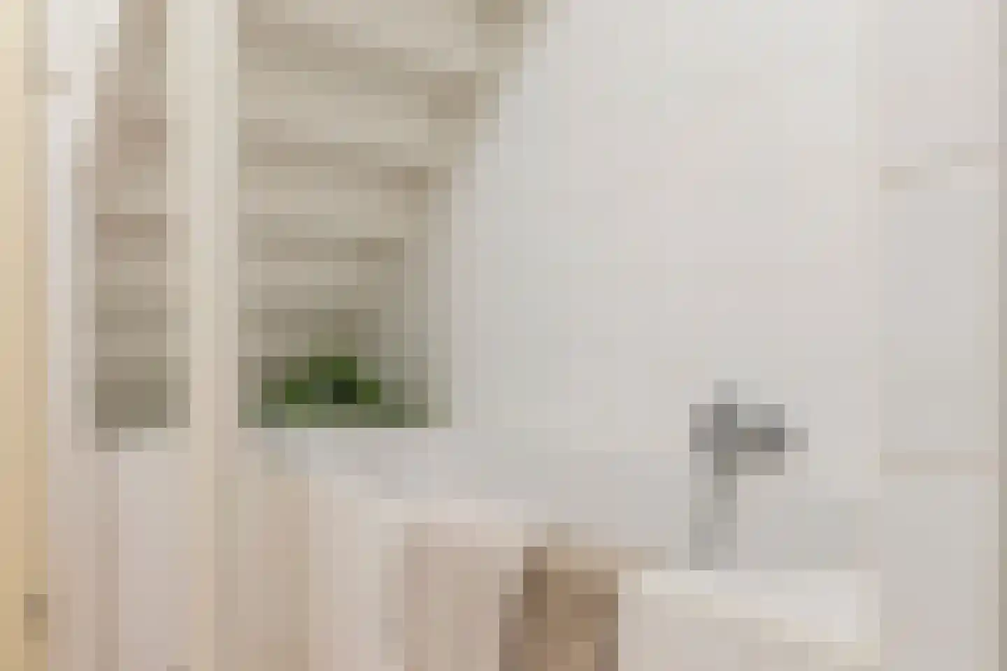 Picushof 234 A Eindhoven thumbnail 28