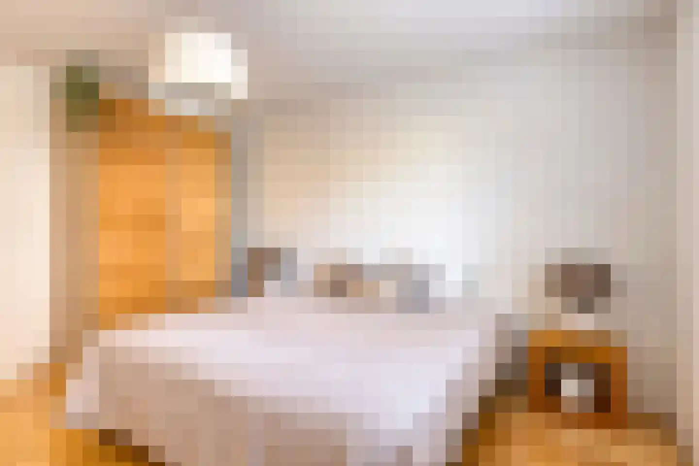 Picushof 234 A Eindhoven thumbnail 32