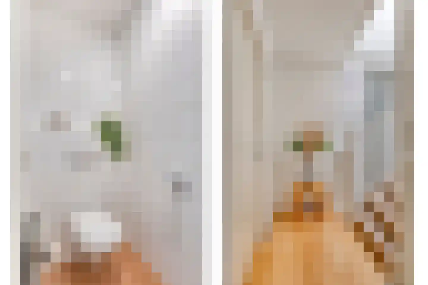 Picushof 234 A Eindhoven thumbnail 36