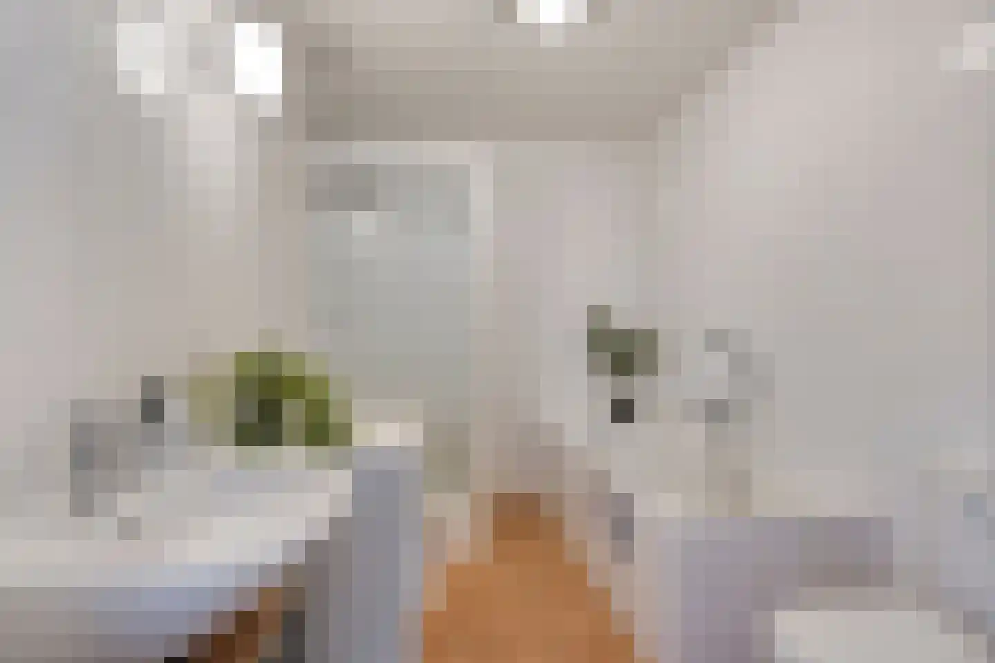 Picushof 234 A Eindhoven thumbnail 48