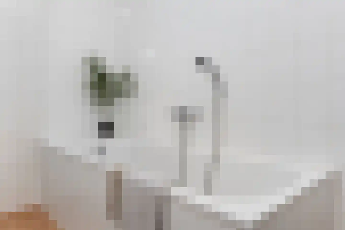 Picushof 234 A Eindhoven thumbnail 50
