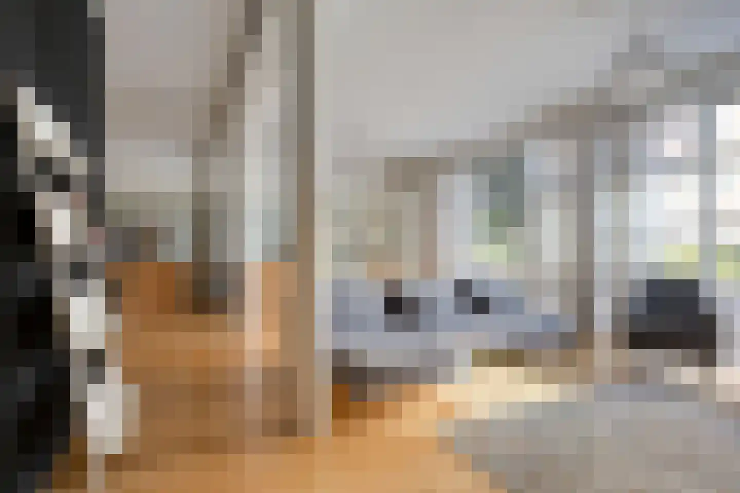 Picushof 234 A Eindhoven thumbnail 6