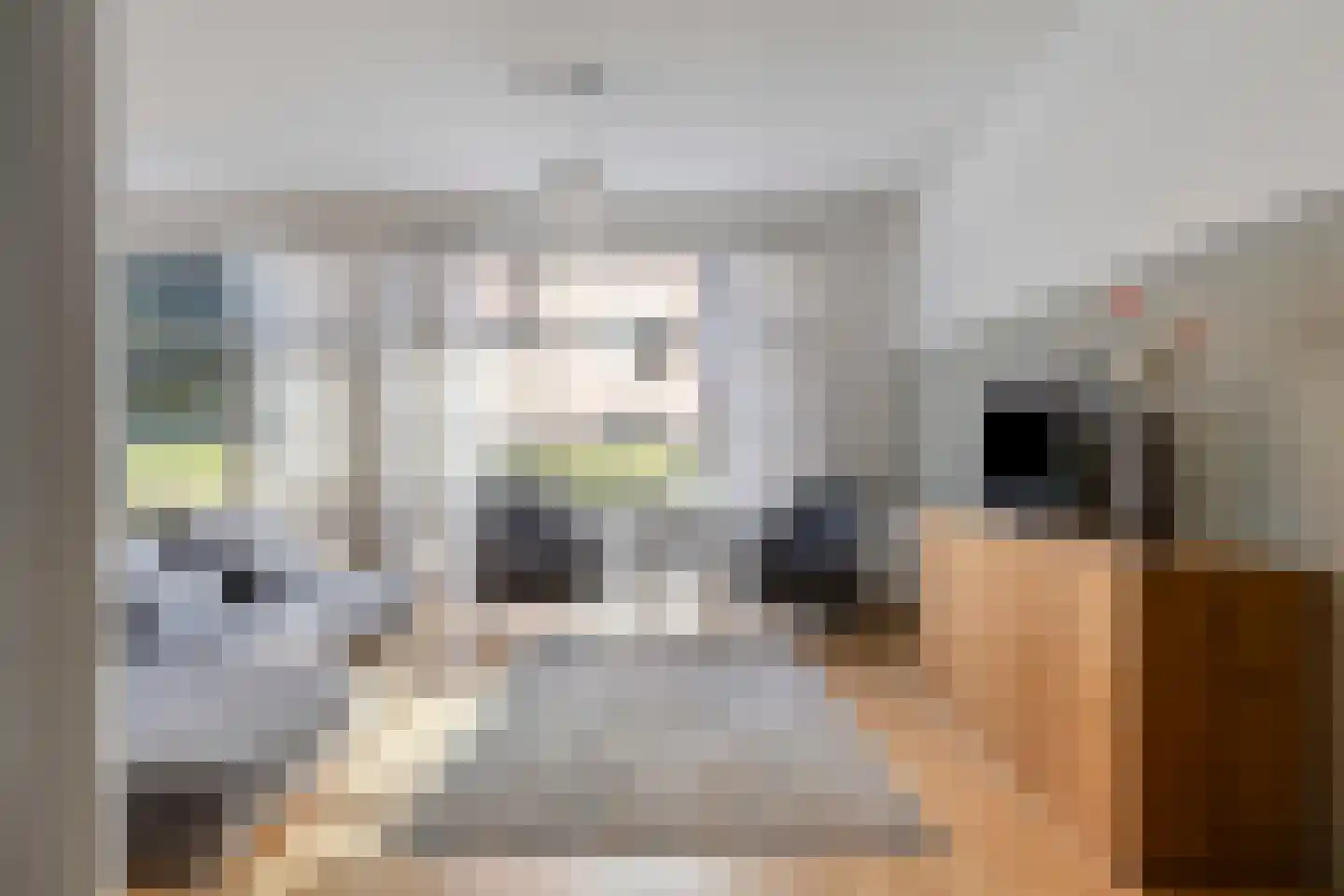 Picushof 234 A Eindhoven thumbnail 7