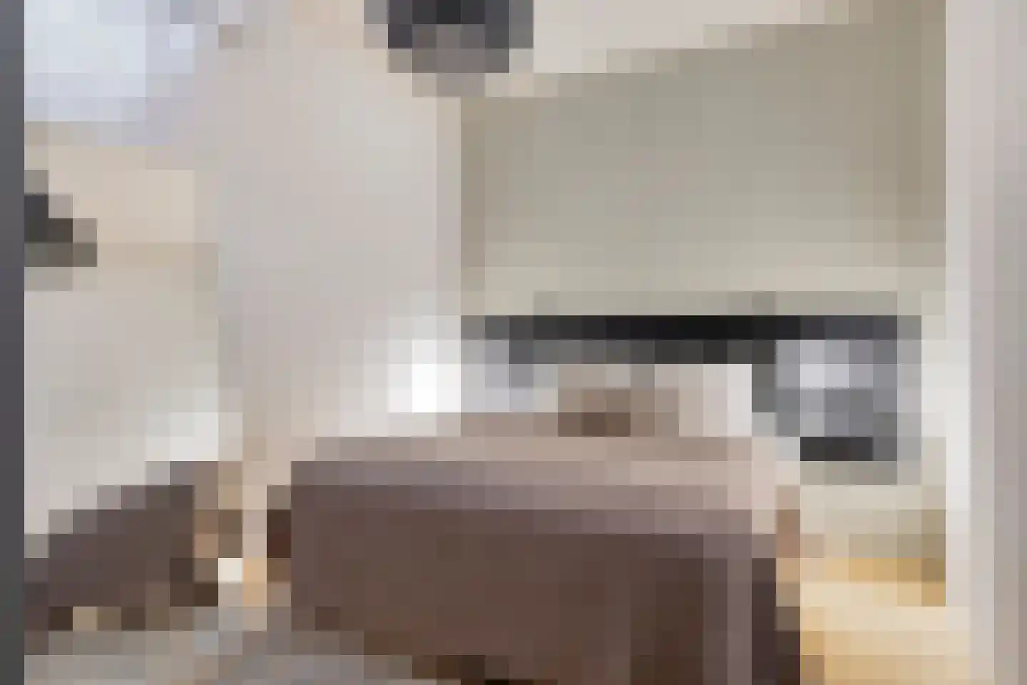 Picushof 234 A Eindhoven thumbnail 7