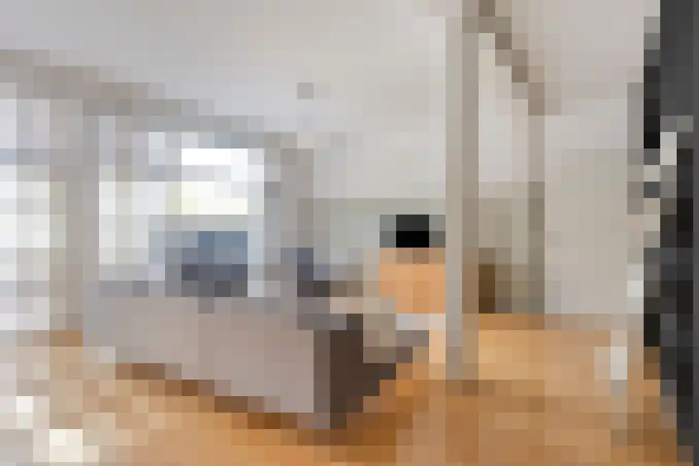 Picushof 234 A Eindhoven thumbnail 9