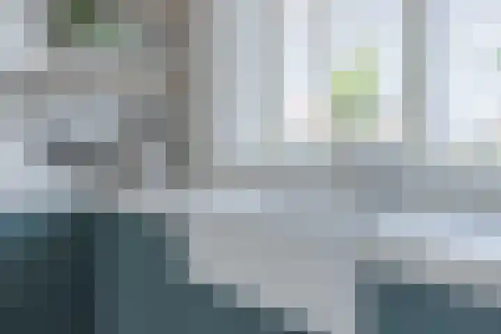 Piekelant 9 Zuid-Scharwoude thumbnail 10