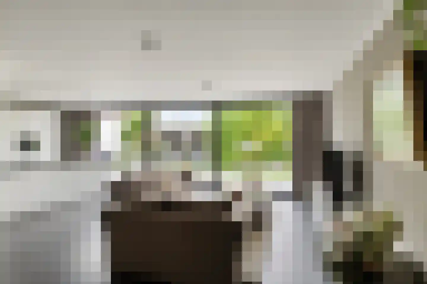 Piekenier 1 Lierop thumbnail 10