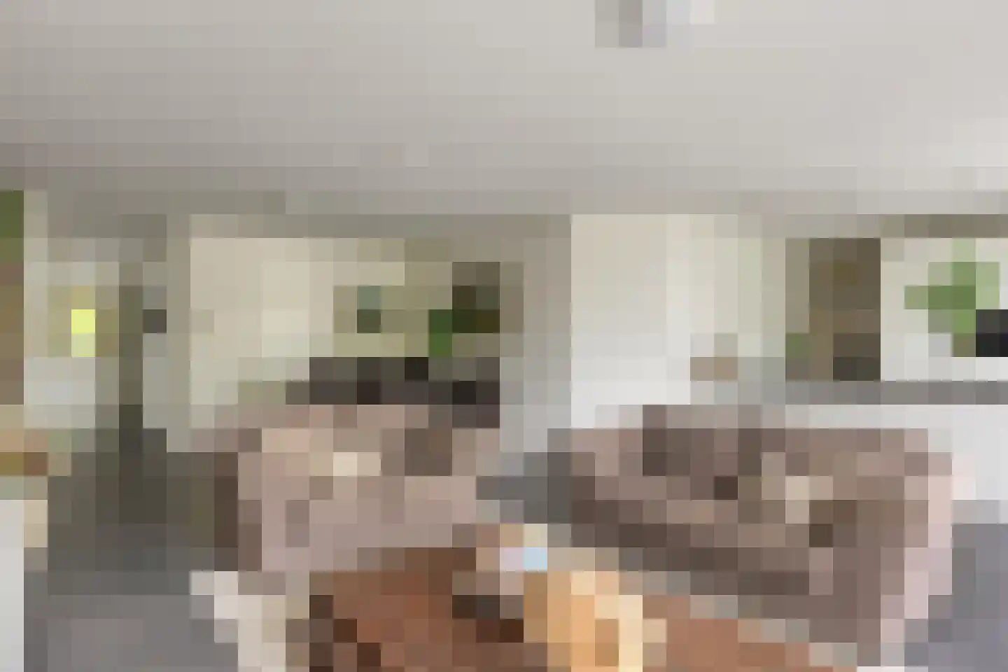 Piekenier 1 Lierop thumbnail 11