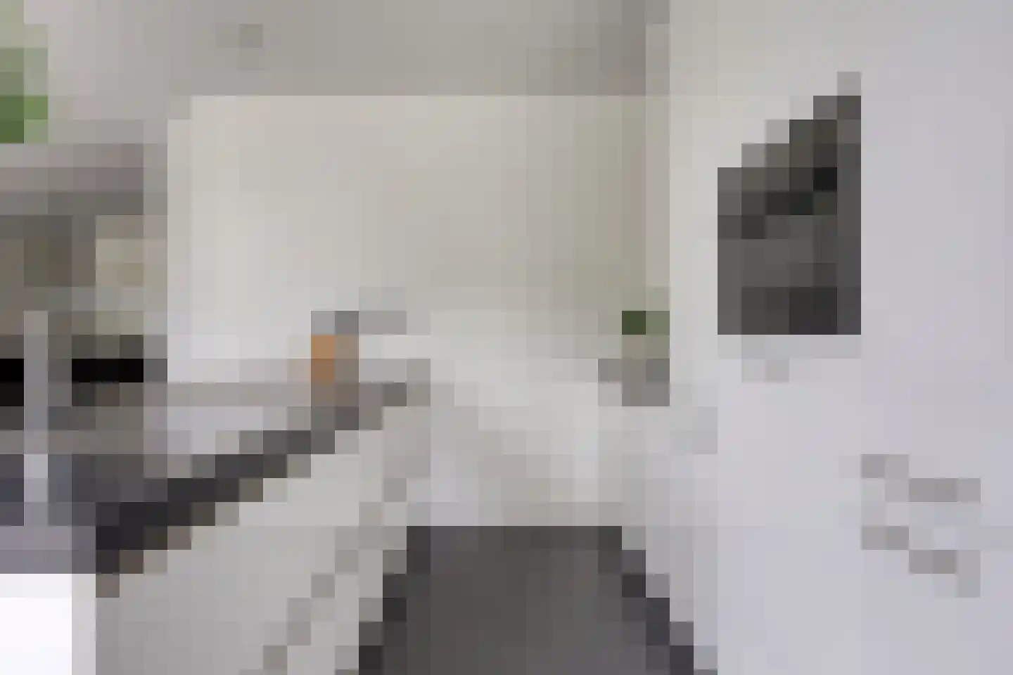 Piekenier 1 Lierop thumbnail 13