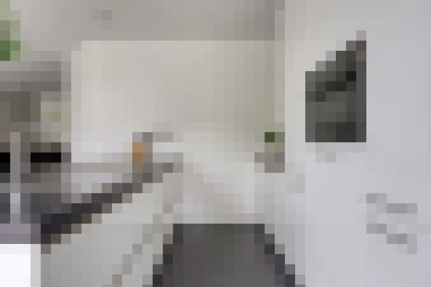 Piekenier 1 Lierop thumbnail 13