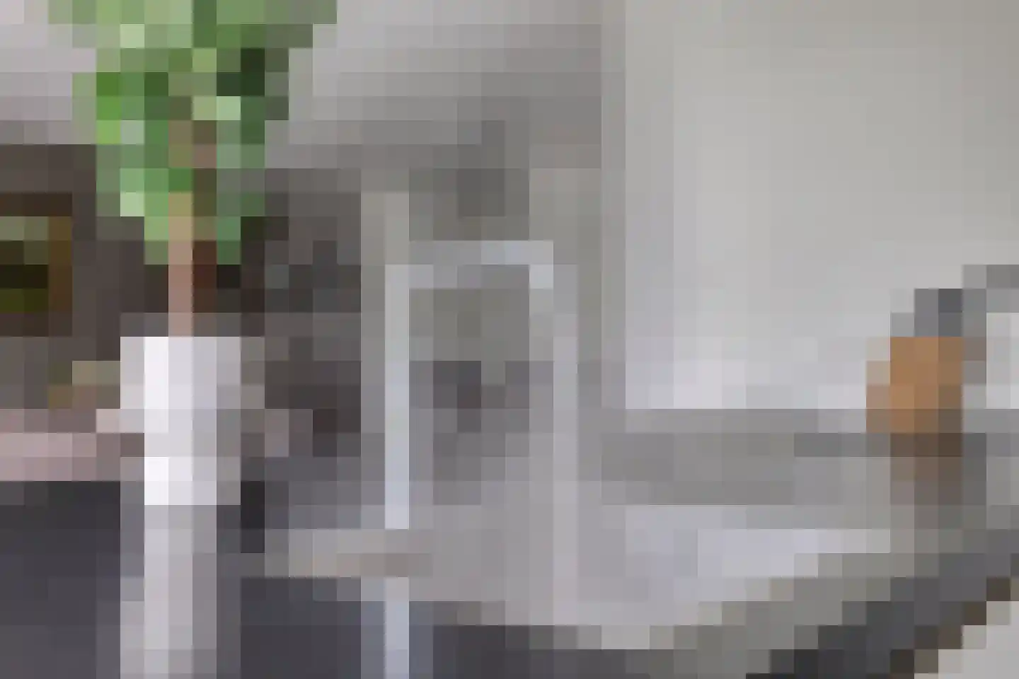 Piekenier 1 Lierop thumbnail 14