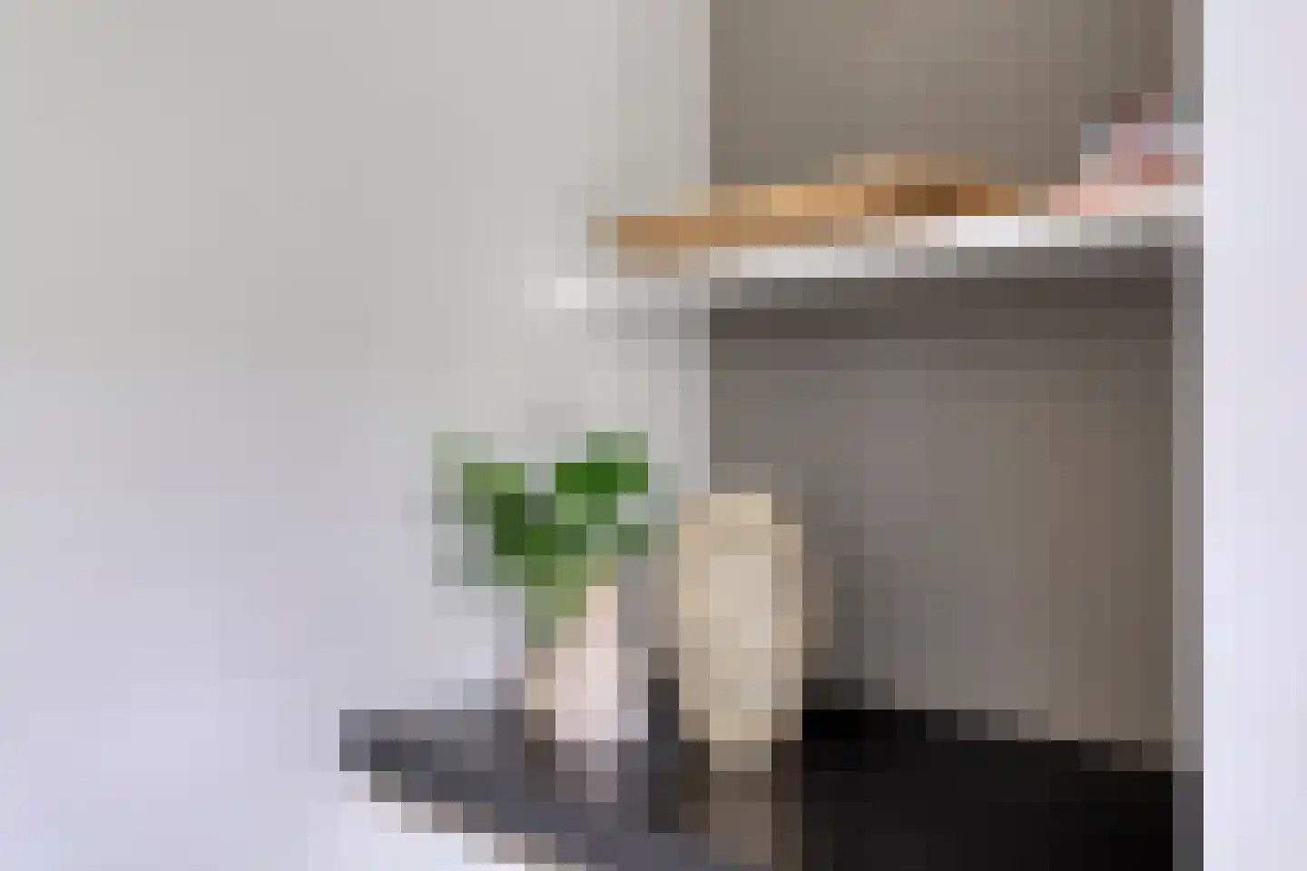 Piekenier 1 Lierop thumbnail 15