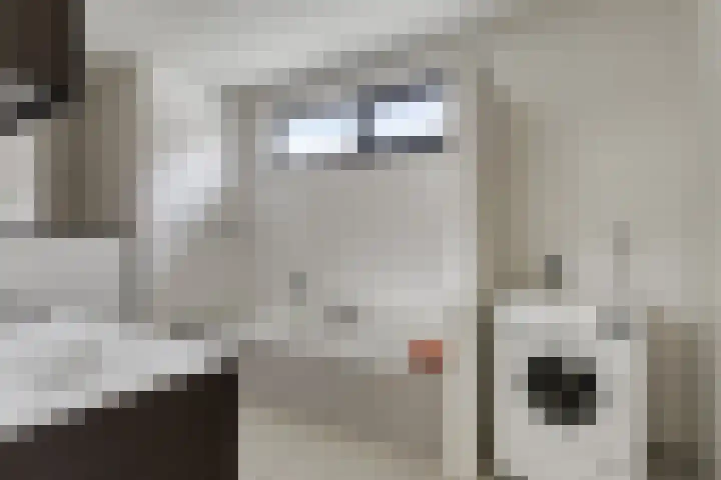 Piekenier 1 Lierop thumbnail 20