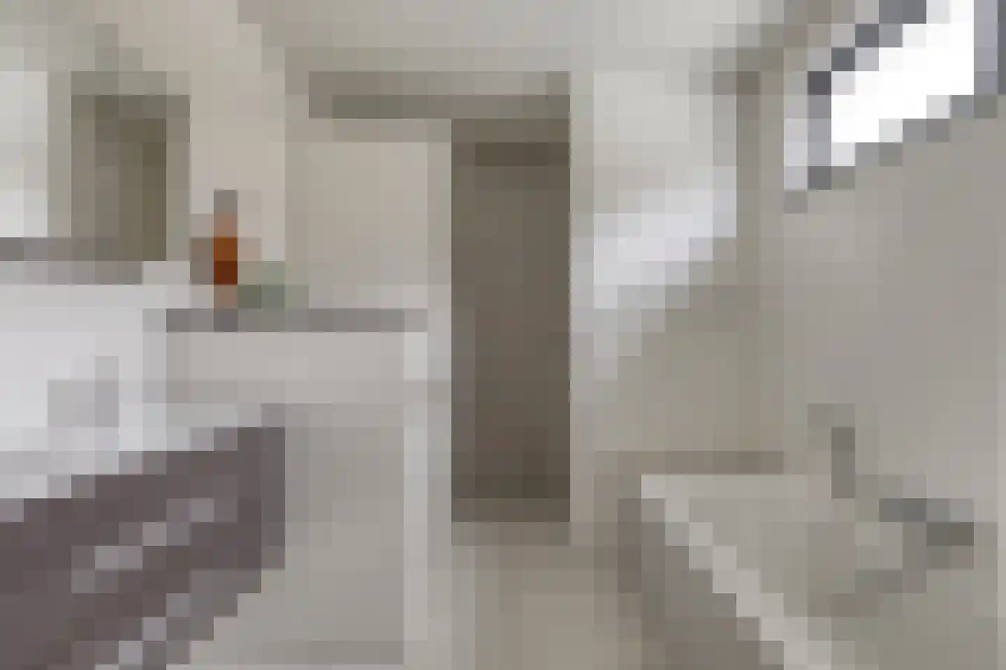 Piekenier 1 Lierop thumbnail 21