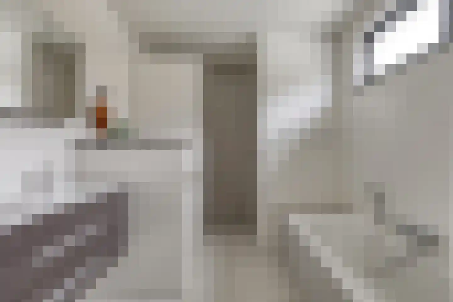 Piekenier 1 Lierop thumbnail 21