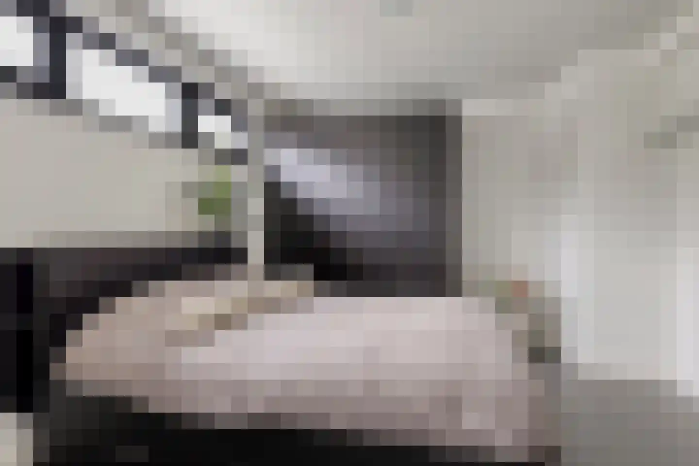 Piekenier 1 Lierop thumbnail 23
